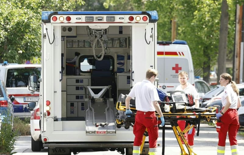 Austrian school shooter was 21-year-old former pupil, authorities say