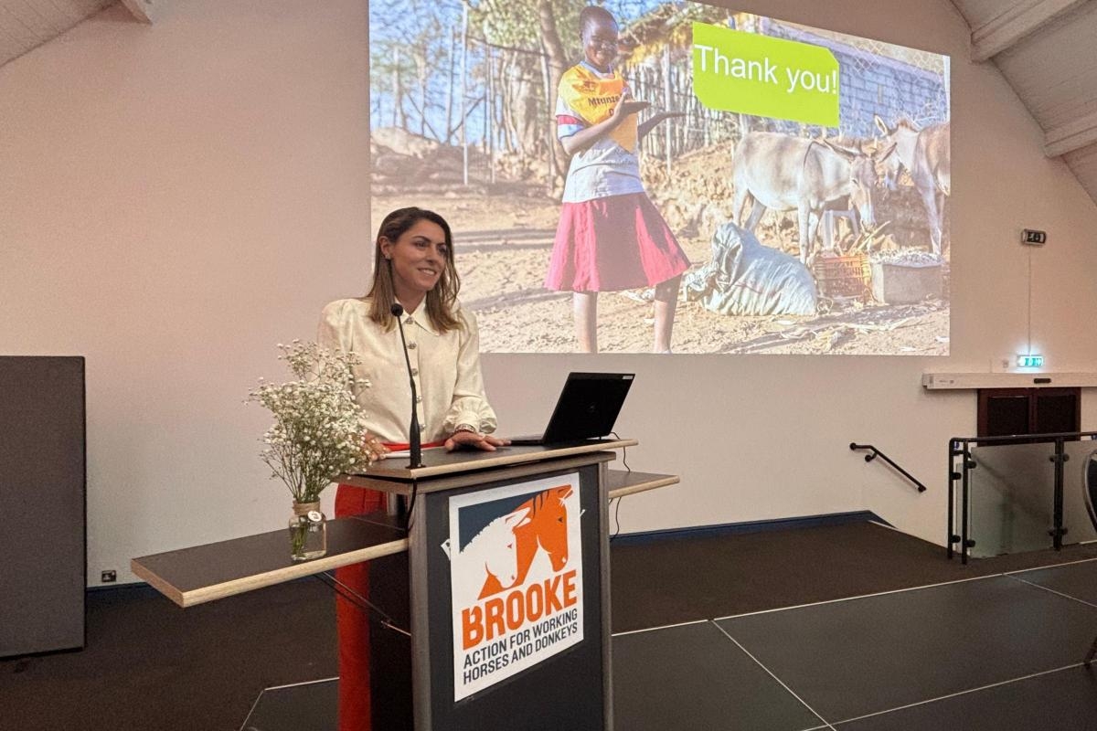 Supporters gather in Dudley to back Brooke's global donkey campaign