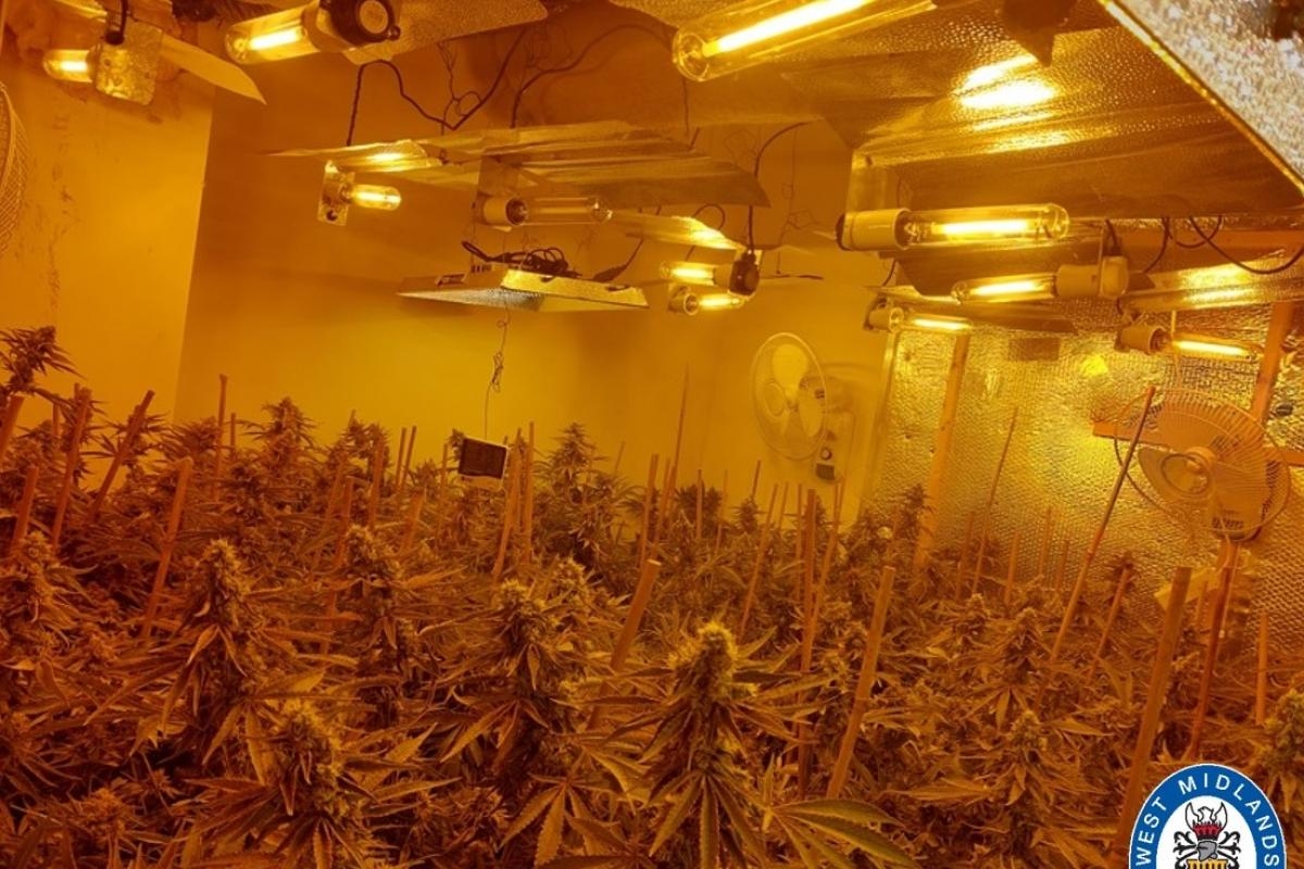 Arrest after drugs factory uncovered in Black Country