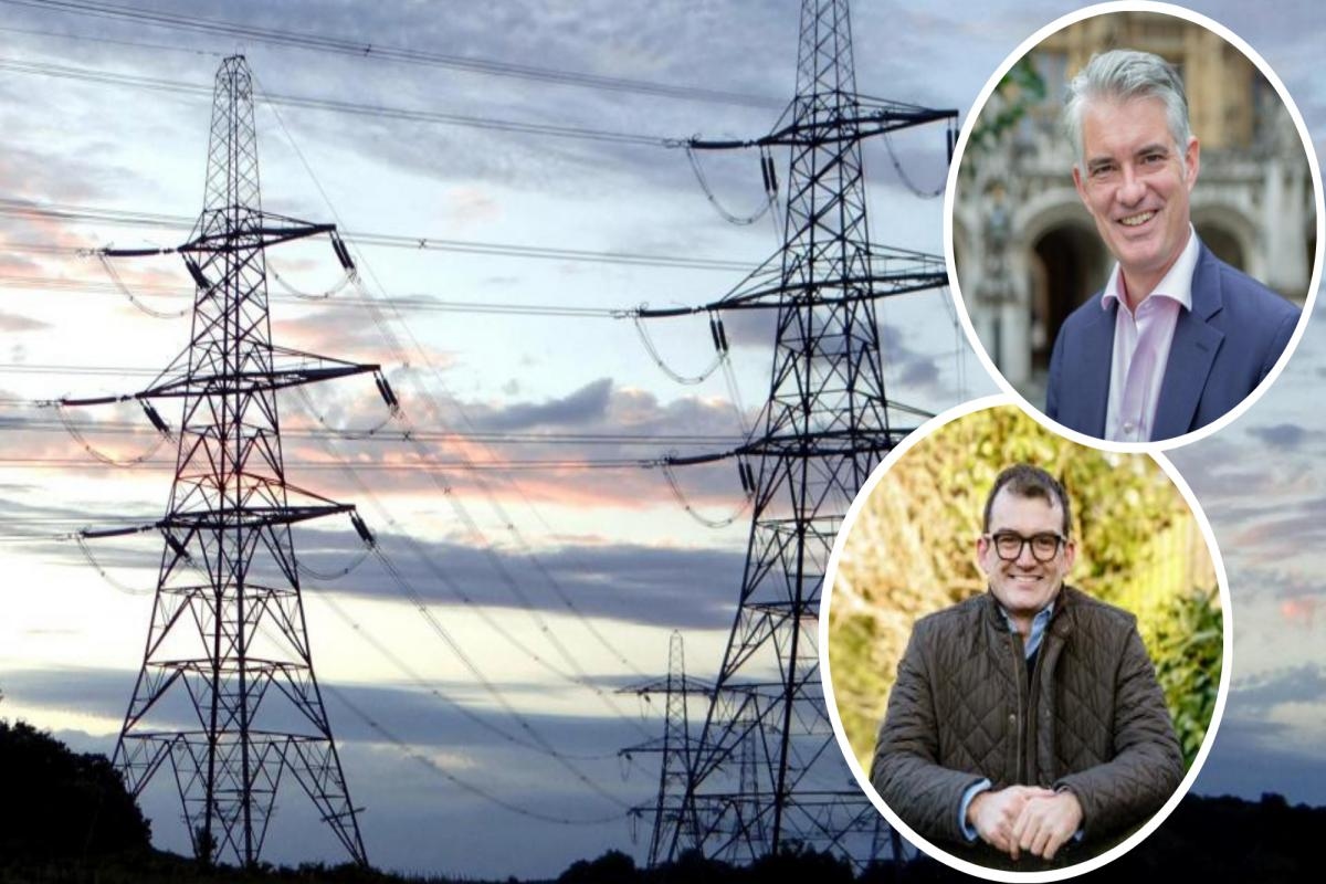 MPs make another attempt to get government to ditch pylon plans