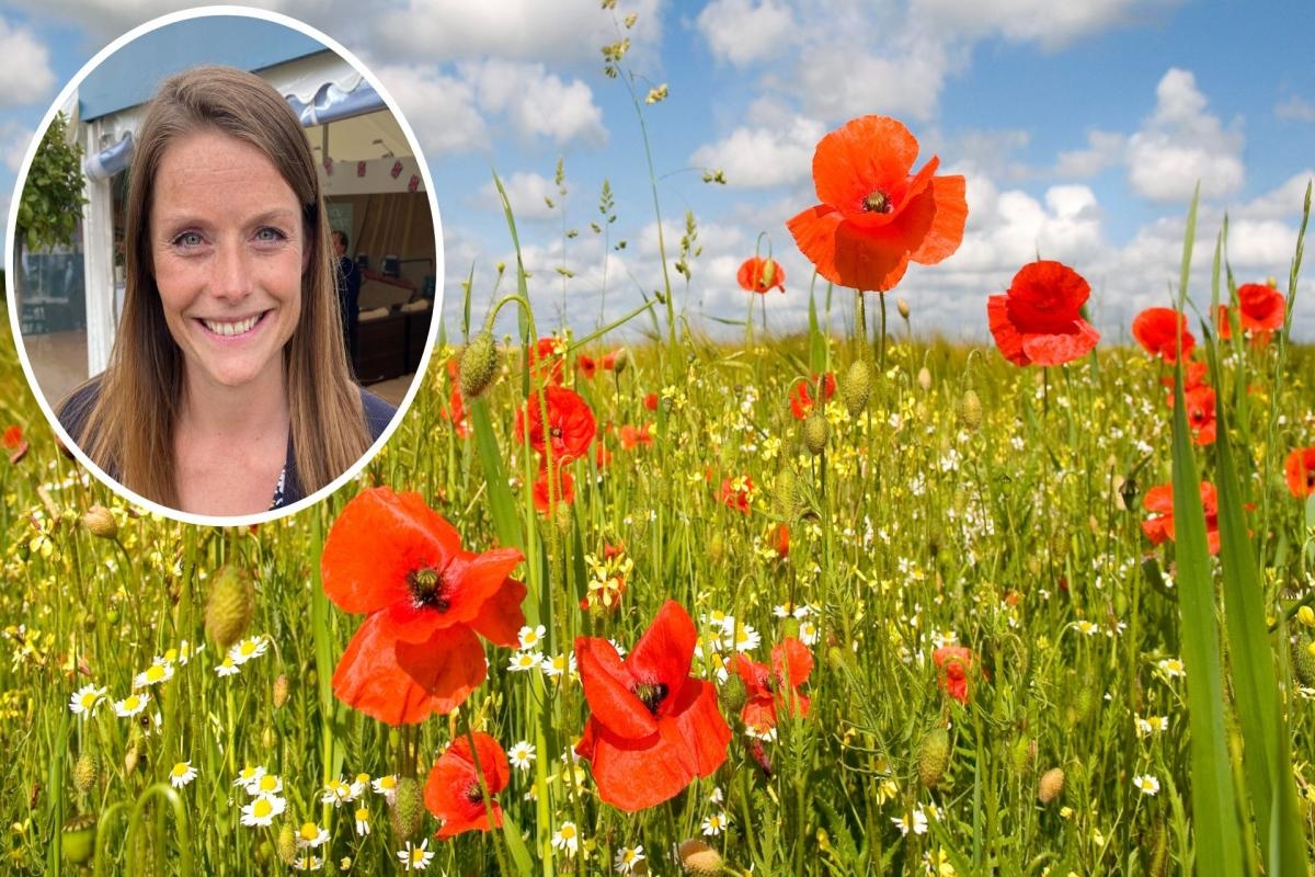 Opinion: Closure of incentive scheme is appalling news for farmers