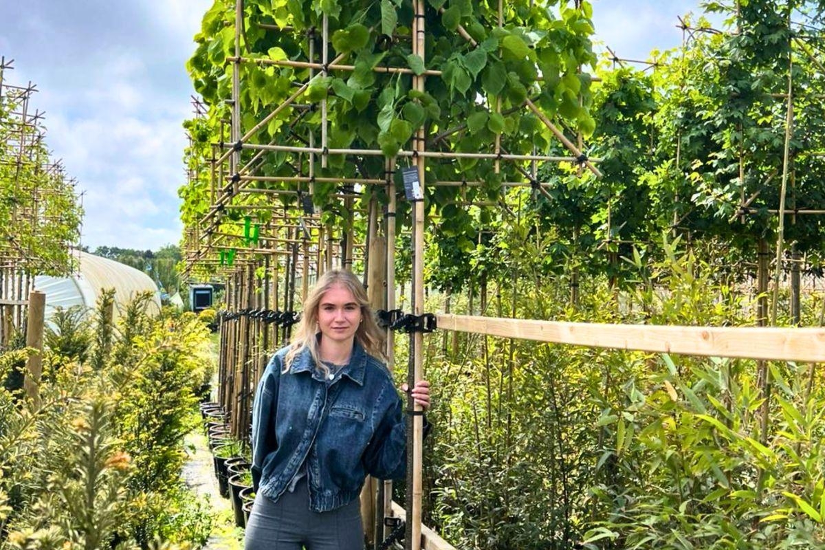 Norfolk grown trees selected for BBC Gardeners' World event