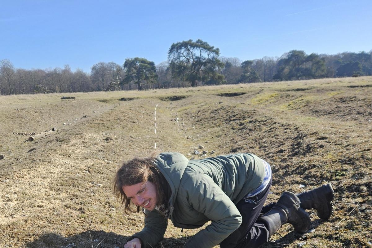 Scrambled eggs are back on the menu for Norfolk Wildlife Trust