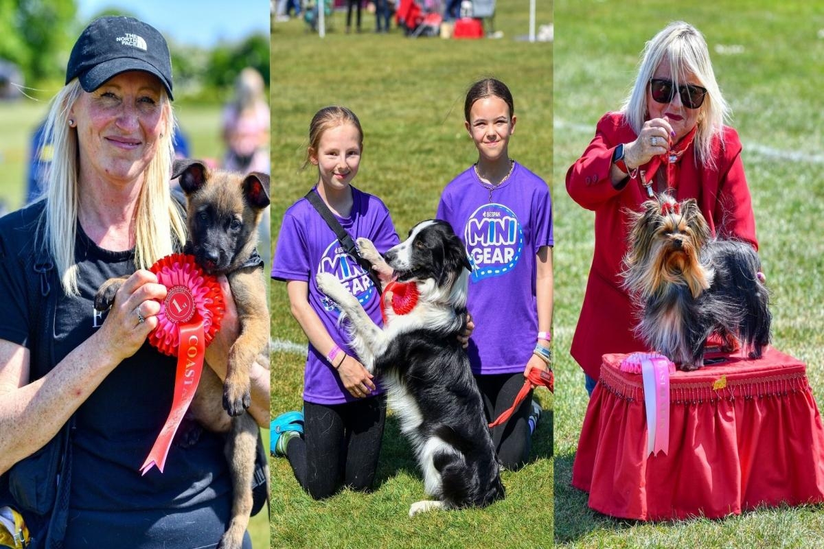 Tails wag in the sunshine at seaside dog show