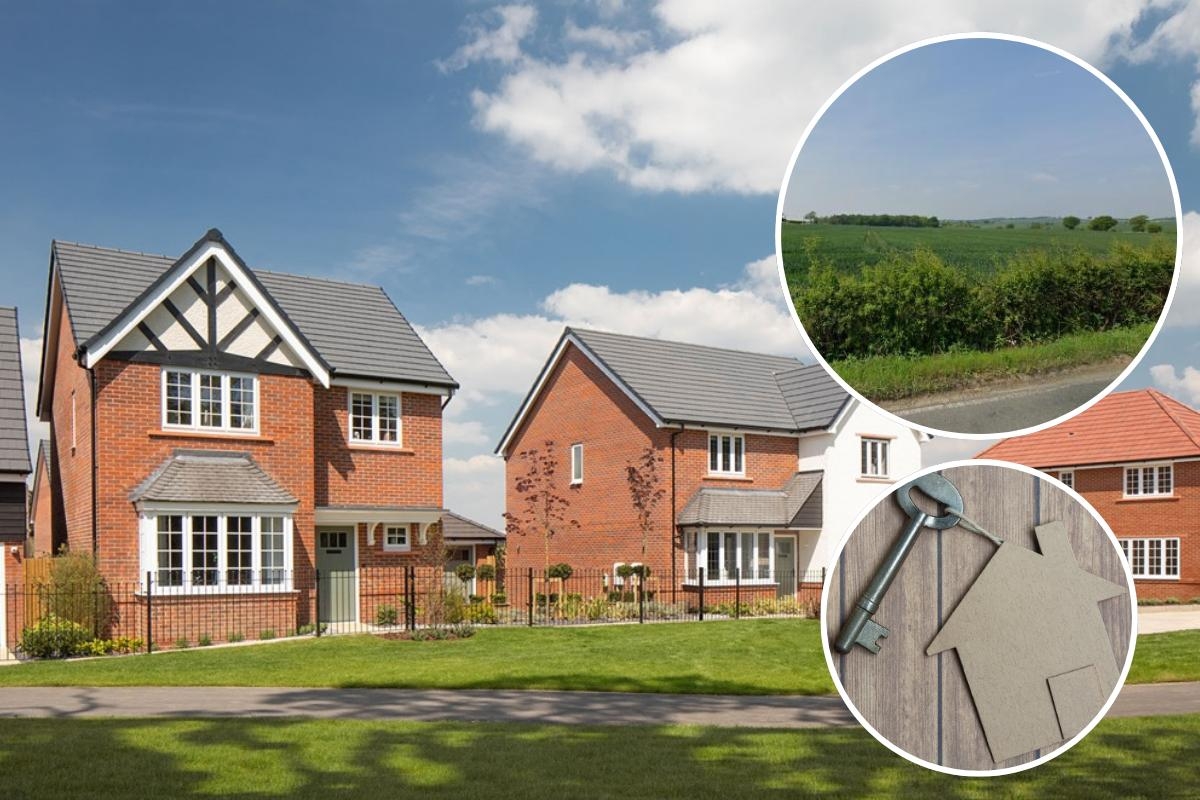 Public consultation launched for 1,100 new homes on south Essex green belt