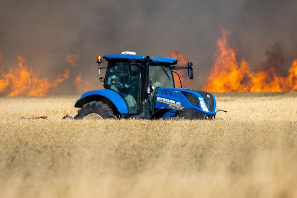 Shocking photos show flames and black smoke at south Essex nature reserve fire