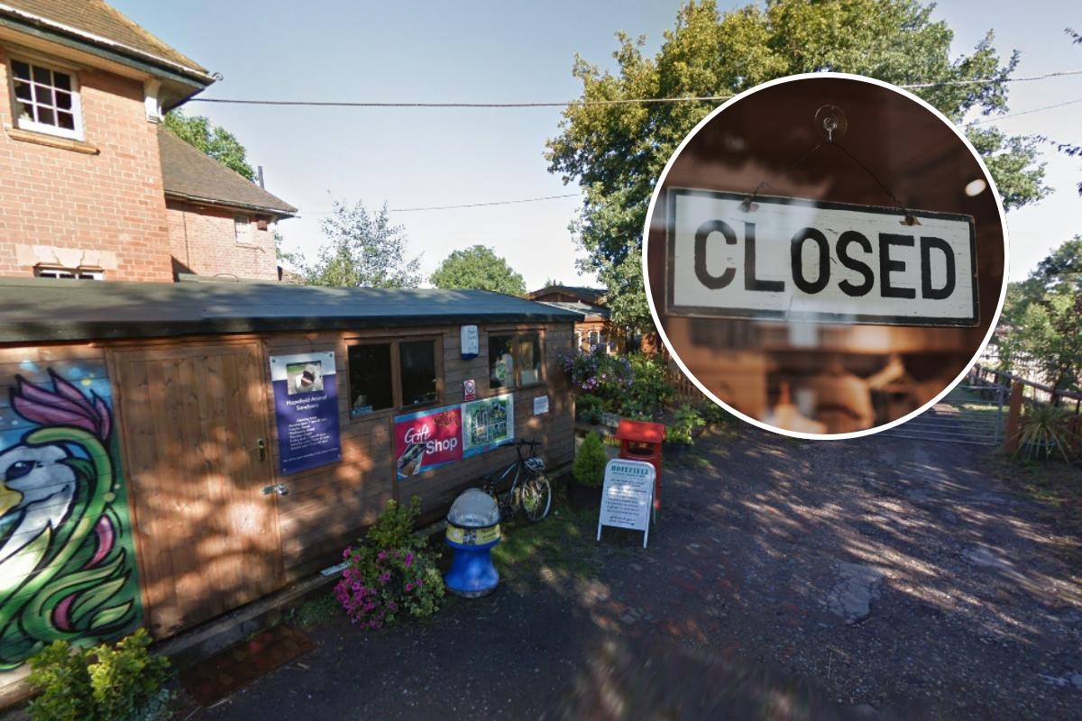 Much-loved Essex animal sanctuary closes to visitors amid urgent repairs