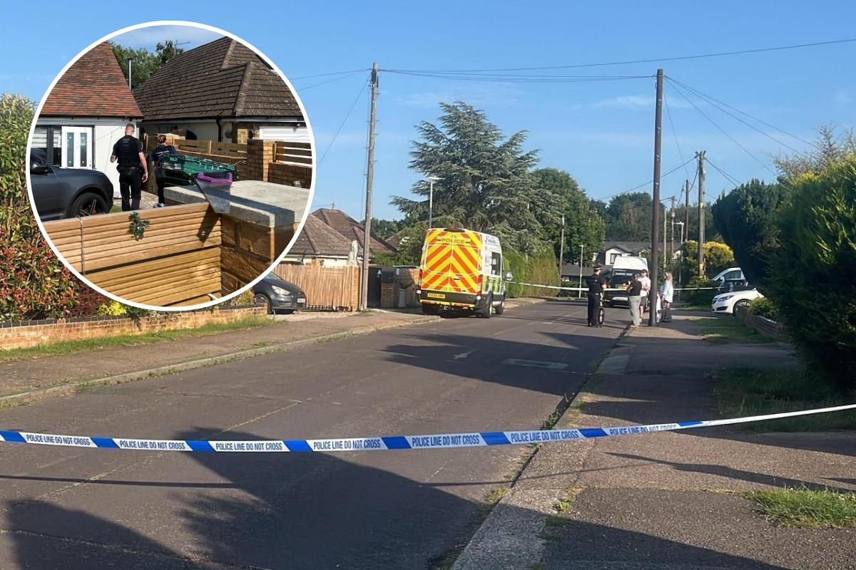 Cordon in place as police return to south Essex road where 41 dead dogs were found