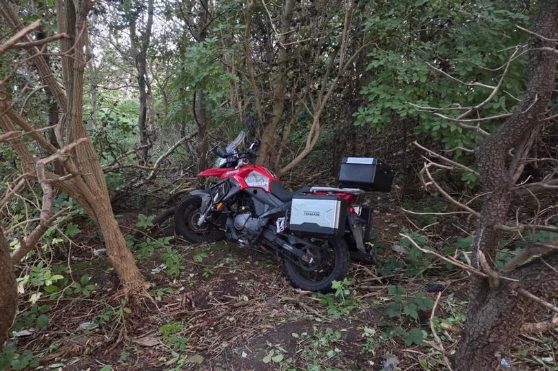 East Lothian dog walker stumbles on 'disgusting' discovery in middle of woods