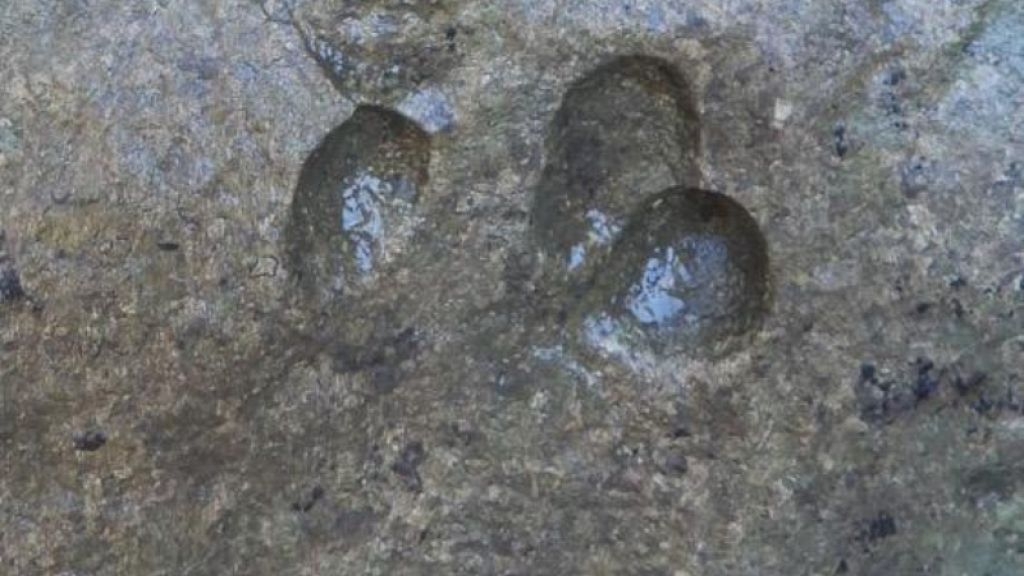 Extraordinary discovery in Sardinia: dinosaur tracks found during filming of a documentary