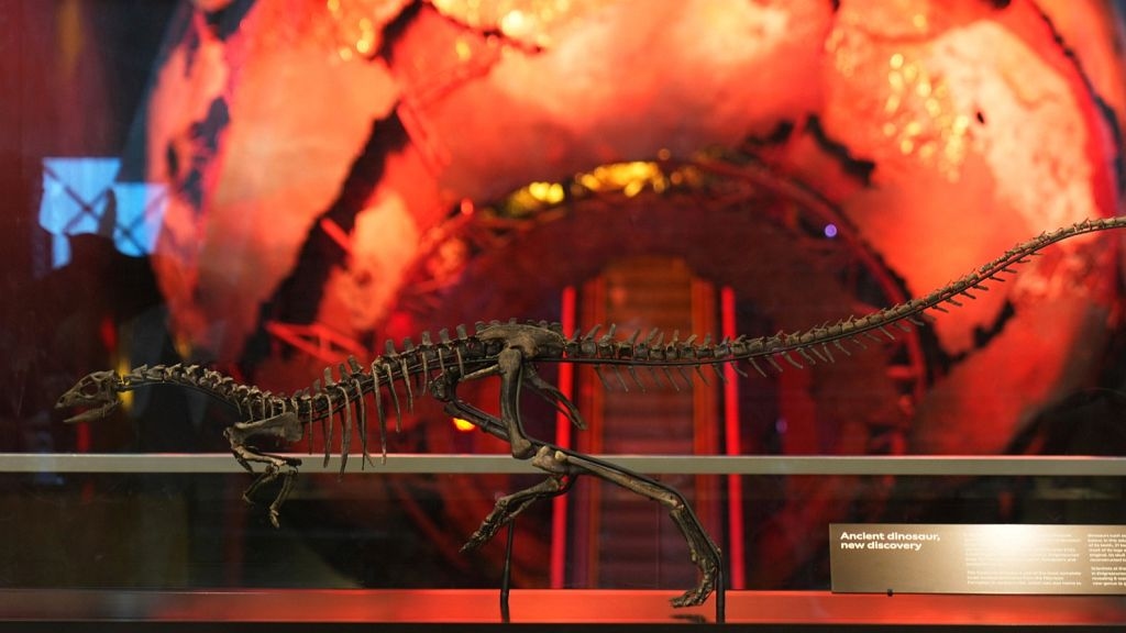Meet Enigmacursor: New dinosaur species unveiled at London's Natural History Museum