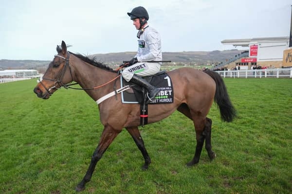 Cheltenham Festival 2025 LIVE results: Horse racing updates, latest news, odds, betting tips on day one