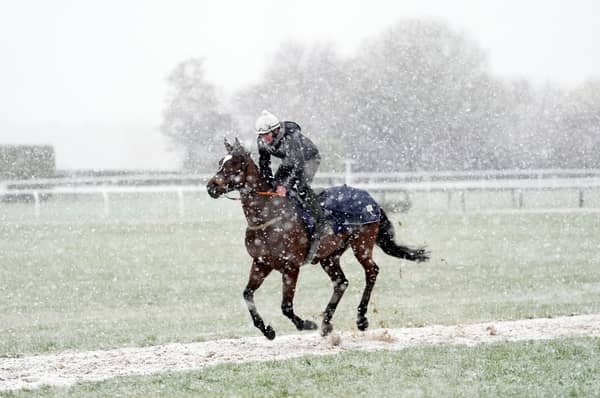 UK weather: 'Fool's spring' fears as ice warning issued and snow hits Cheltenham festival