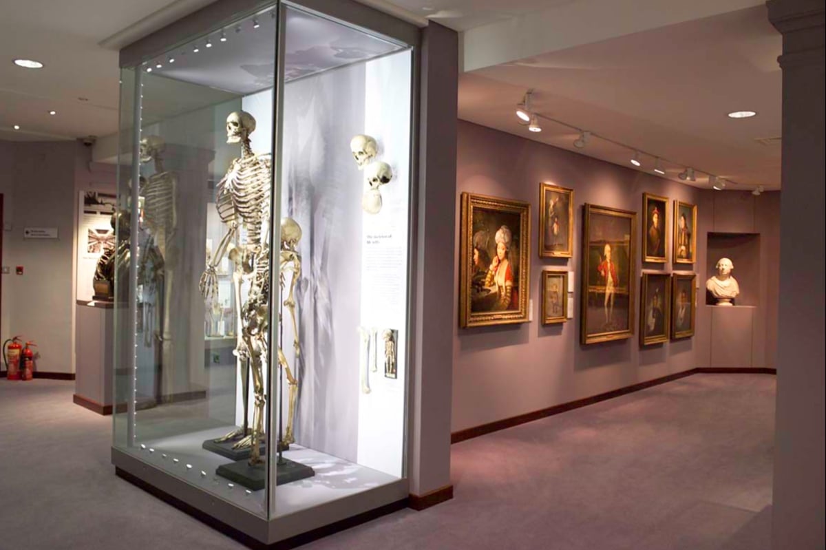 Three of London's most gloriously odd museums
