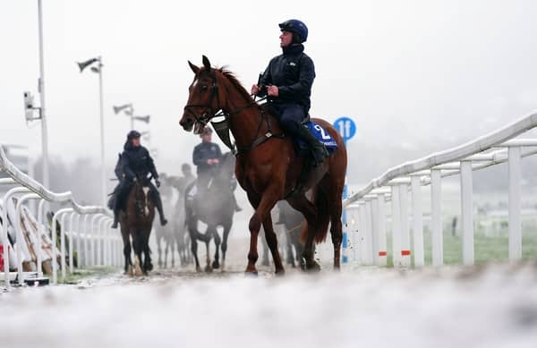 Cheltenham Festival 2025 LIVE: Snow falls on Day 2 - latest updates, news, odds and betting tips