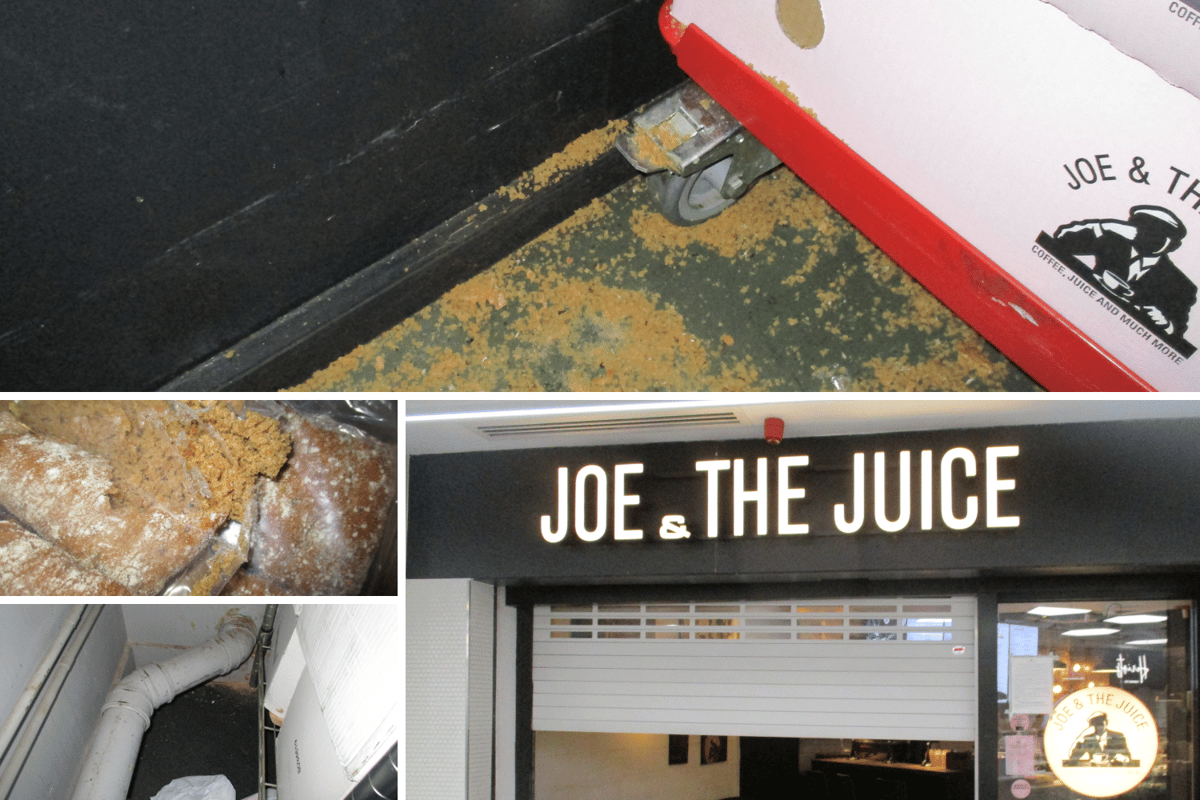 Westminster Joe and the Juice stores fined after mouse droppings found in bread boxes