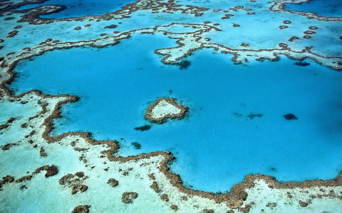 Magnitude 4.4 earthquake rocks holiday hotspot in Australia as tourists evacuate from hotels
