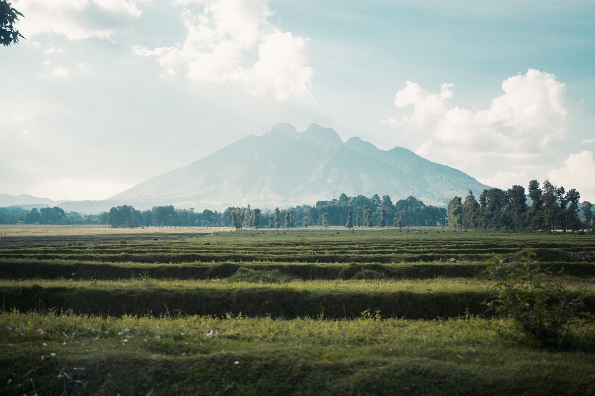 Why Rwanda needs to be on your bucket list: a first-timer's guide to ‘the Land of a Thousand Hills'