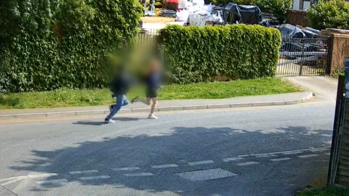 Teenager jailed for sadistic killing of two kittens at west London golf course