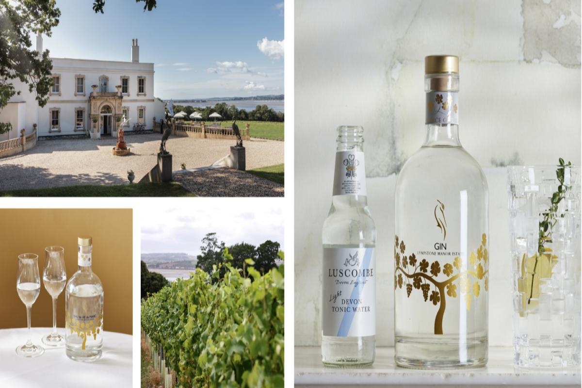 Luxury East Devon hotel wins awards for its vineyard and gin