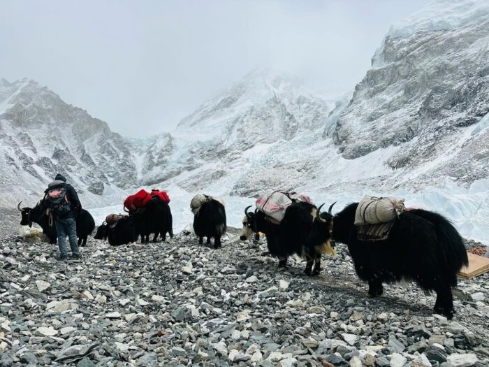 Ama Dablam Summits, First Everest Permits