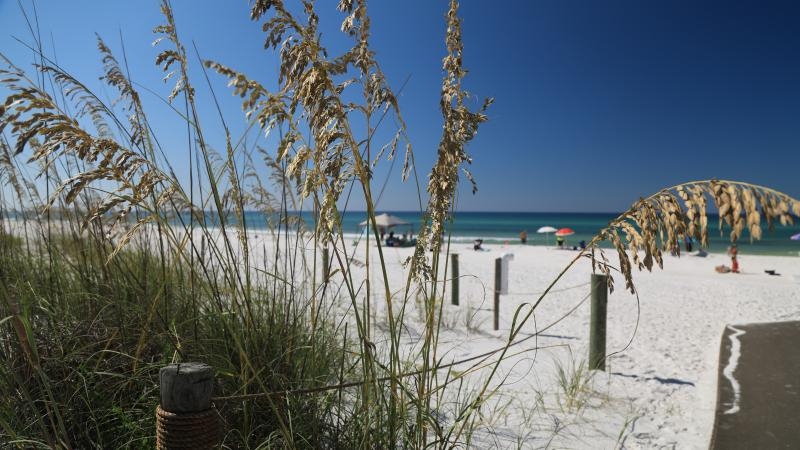 Oil drilling ban along Apalachicola River passes unanimously in Florida House