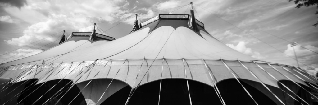 A festival of foolishness and toxicity