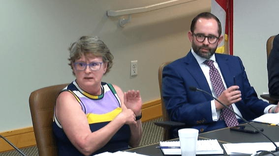 Draconian restrictions on citizen-led amendments pass Florida House