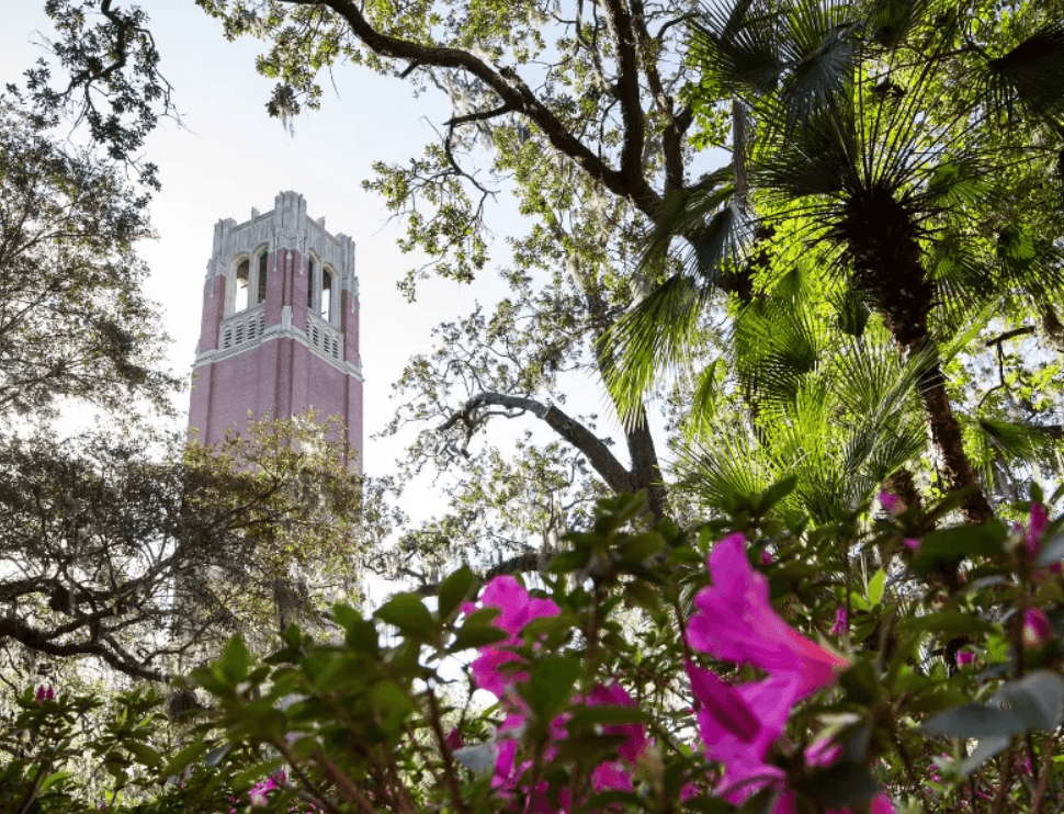 University of Florida names one presidential finalist, again