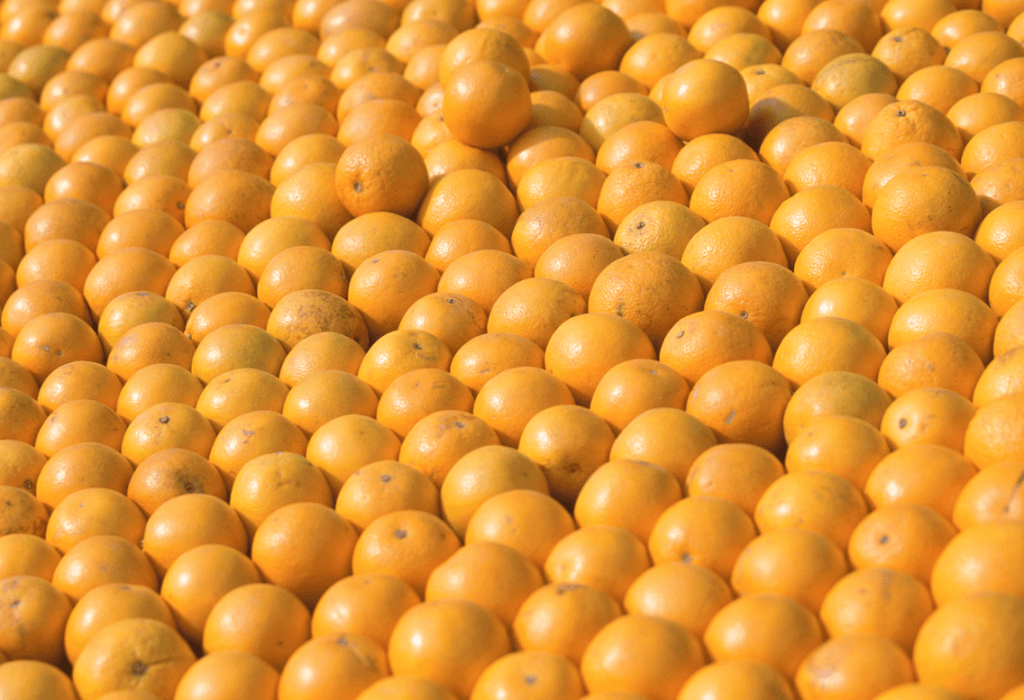 Citrus industry, ‘decimated' by greening, clings to hope, Simpson says