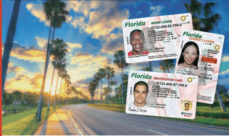 Uthmeier blames Biden after arrest of Bay County employees who sold driver's licenses to migrants