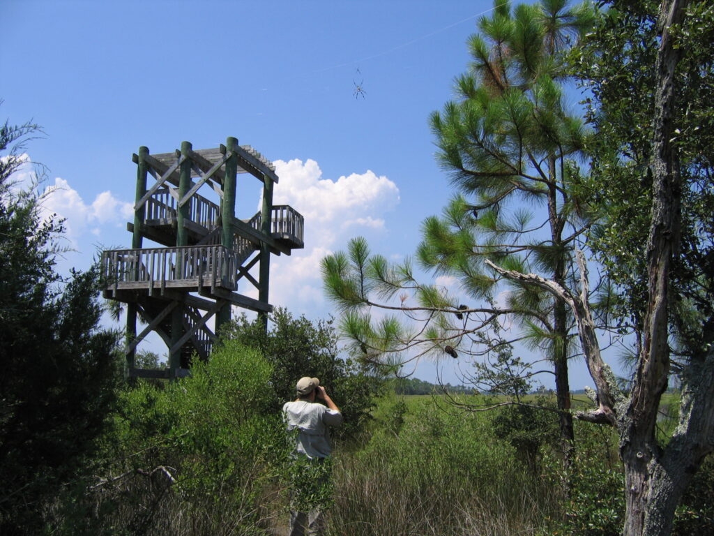 Gov. DeSantis' latest plan to hand over preserved land united Florida