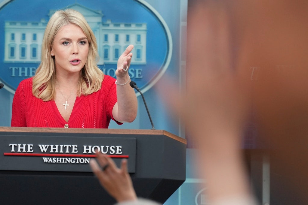 White House rips 'shameful' LA riots as Trump steps in where Newsom, Bass failed, Leavitt says