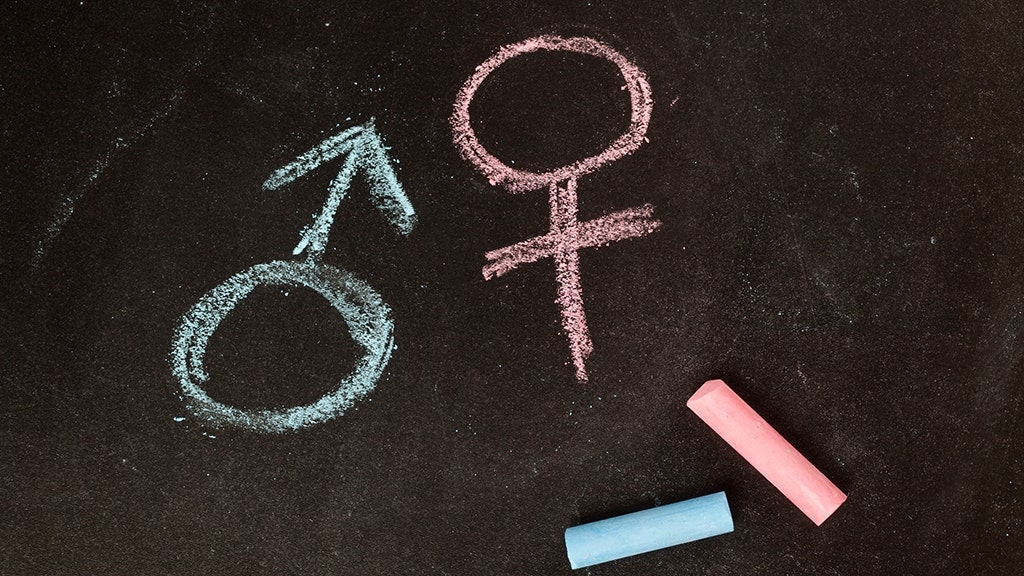 NY mom files lawsuit against school after son allegedly punished for defending 'two genders'
