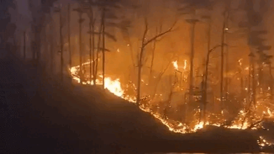 North Carolina wildfires scorch 6,000 acres as lingering Helene damage hampers firefight: 'Absolute travesty'