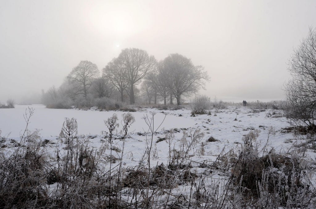 What are frost quakes?