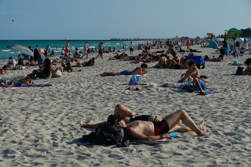 Rise in Dengue Fever cases prompts health alert for popular spring break spots