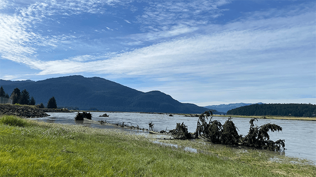 Juneau residents get all clear after glacial lake outburst sent debris-filled water rushing down Alaska river