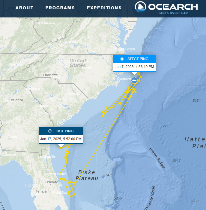 Largest great white shark ever recorded spotted near famous vacation hotspot