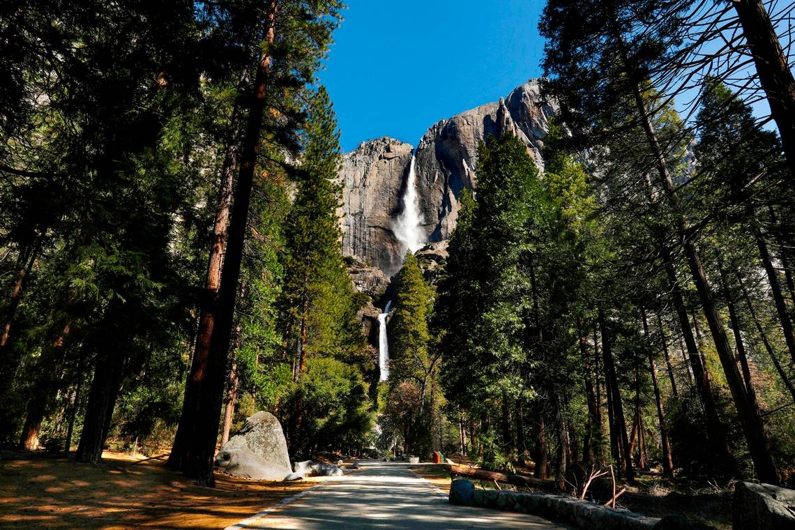 Congressman McClintock, restore staff and services at Yosemite National Park