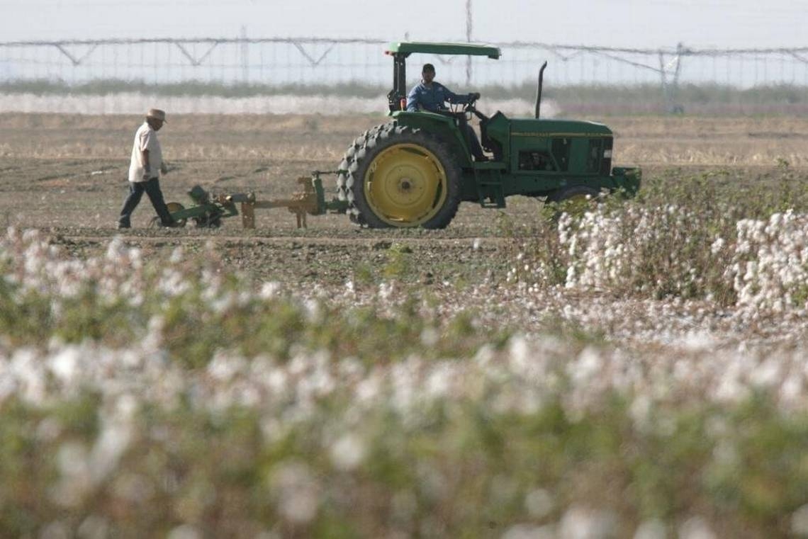 As land and almond prices fall, more San Joaquin Valley farmers face bankruptcy