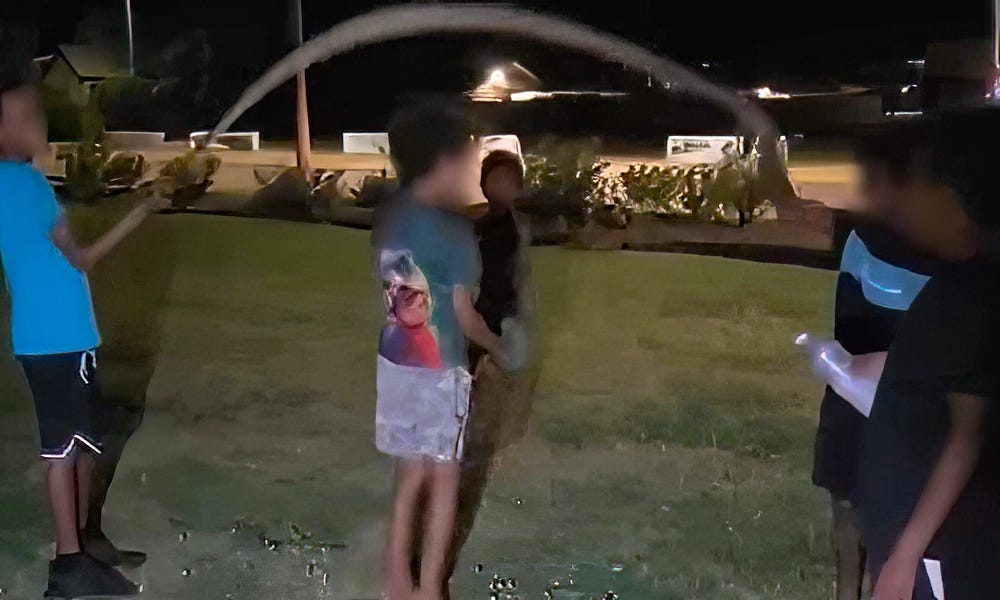 Investigation launched after kids are shown skipping rope with python