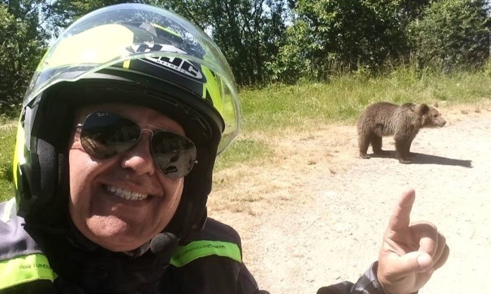 Tourist who attempted to feed brown bear is mauled to death