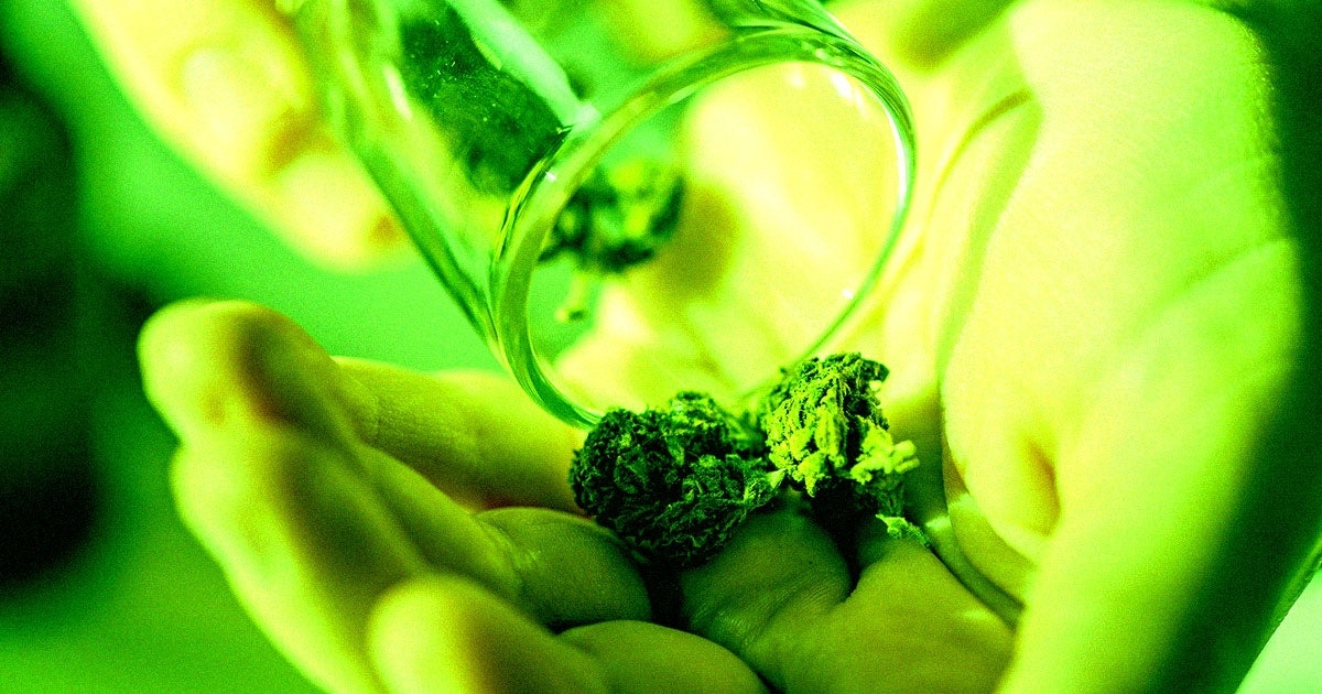 Government Cleaners Find Nasty-Looking Brickweed After DOGE Leaves Building