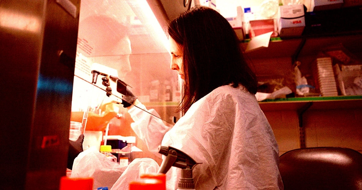 Brain Drain: Talented Young People Are Abandoning Plans to Become Scientists as White House Undermines the Entire Career