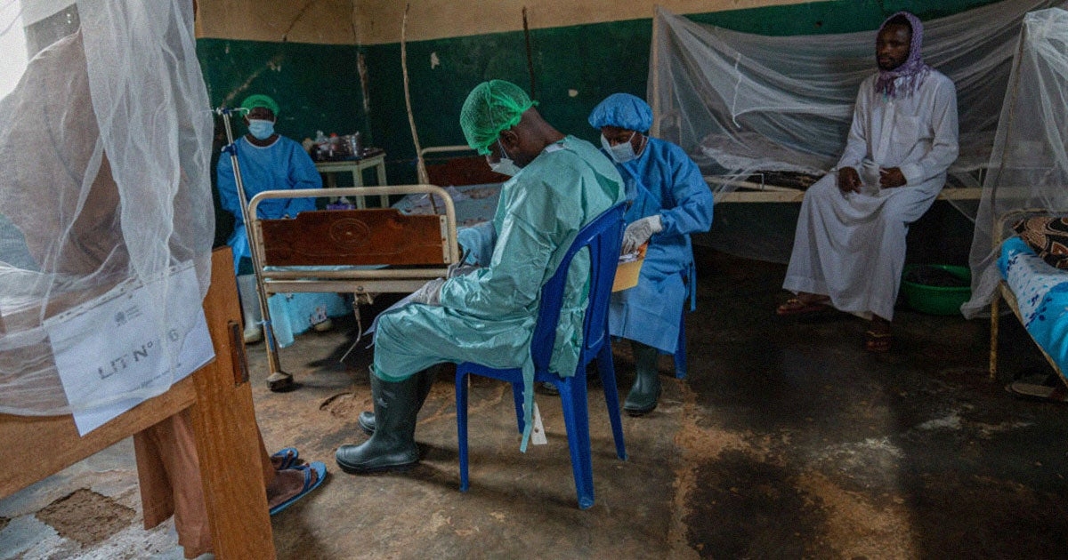 New Disease Spreading Rapidly, Killing Dozens, After Children Ate a Bat