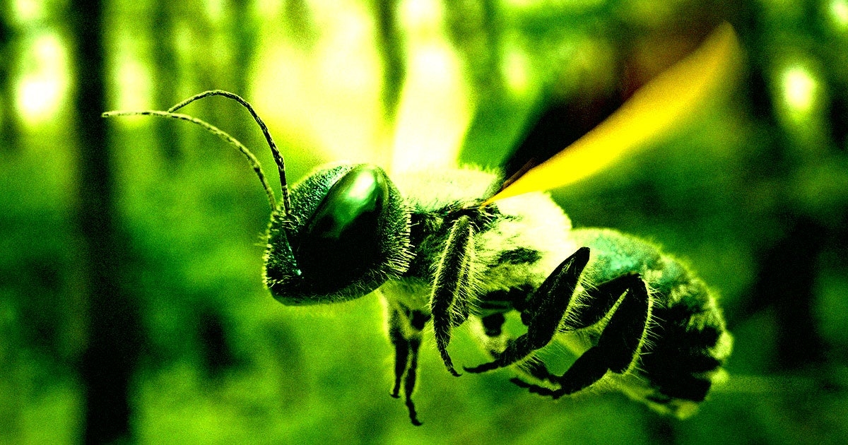 Chinese Scientists Create Cyborg Bees That Can Be Controlled Like Drones for Undercover Military Missions