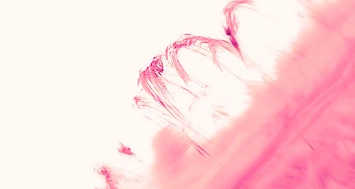 New Imaging Technique Makes the Sun Look Like a Swirling Pink Liquid