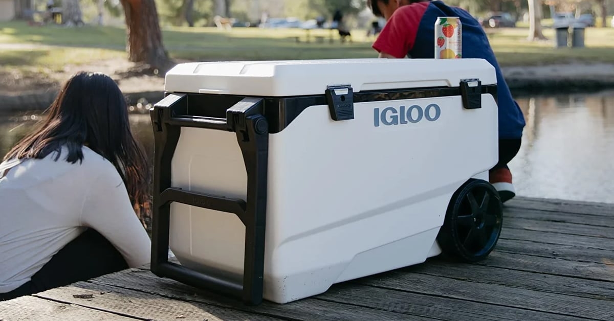 Igloo Recalls 130,000 Coolers After Dozens of Fingertip Amputations
