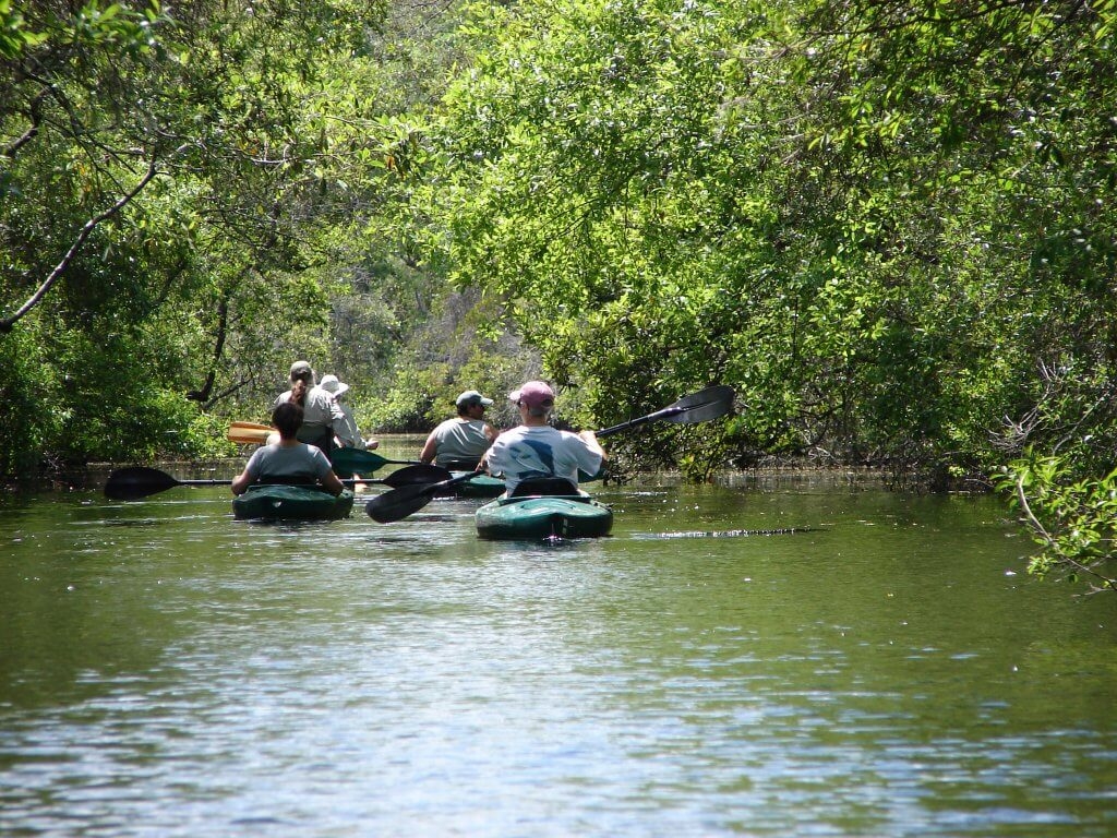 Georgia House lawmakers float bipartisan bill to protect Okefenokee Swamp from new mining efforts